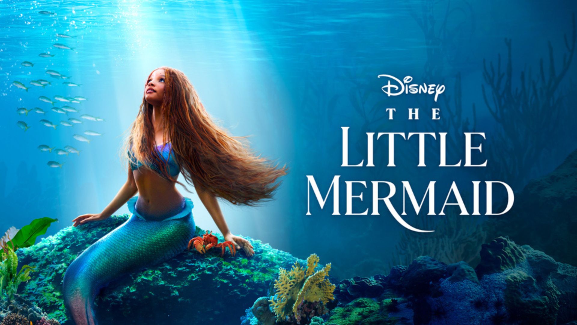 The Little Mermaid Review 2023 Enterprise Apps Today