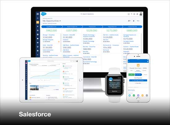 4 CRM Giants: Salesforce, Microsoft Dynamics, Oracle and SAP ...