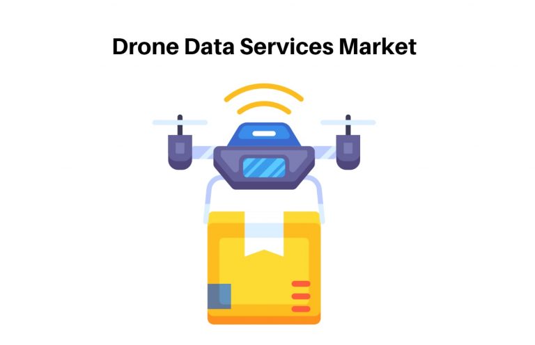 Drone Data Services Market