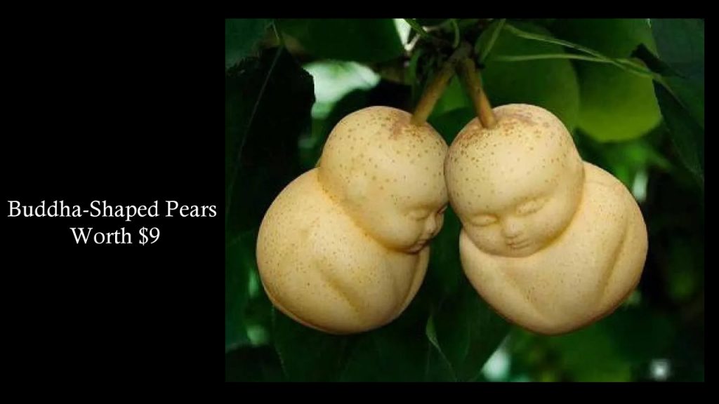 Buddha-Shaped Pears