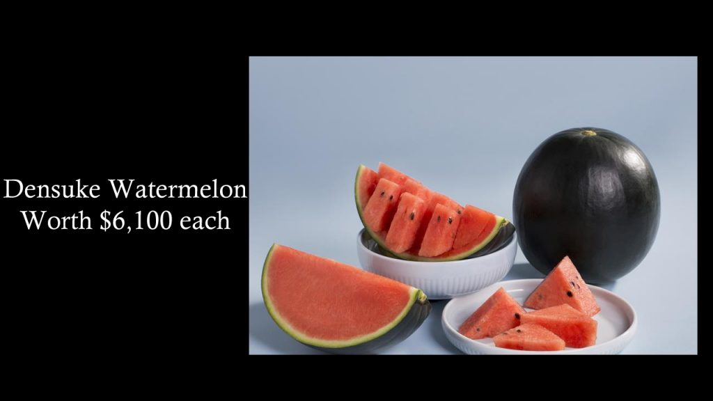 Densuke Watermelon : Top Most Expensive Fruits - Worth $6,100 each