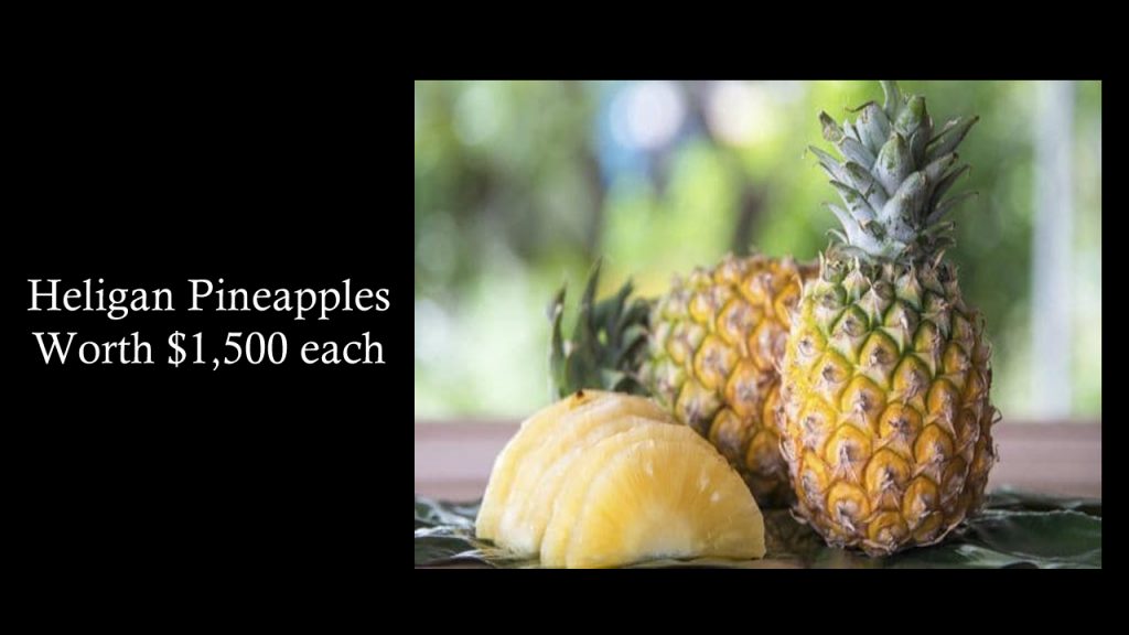 Heligan Pineapples : Top Most Expensive Fruits - Worth $1,500 Each