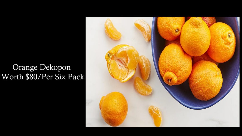 Orange Dekopon - Worth $80/Per Six Pack