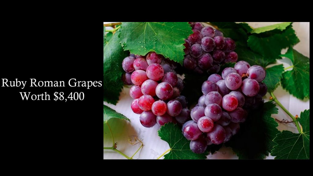 Ruby Roman Grapes : Top Most Expensive Fruits