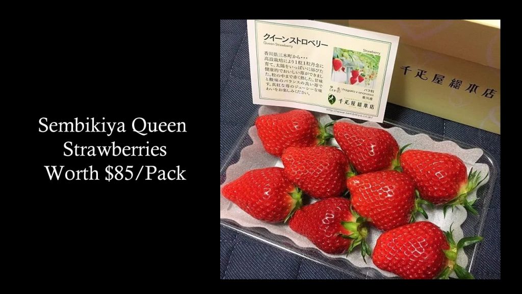 Sembikiya Queen Strawberries : Top Most Expensive Fruits - Worth $85/Pack