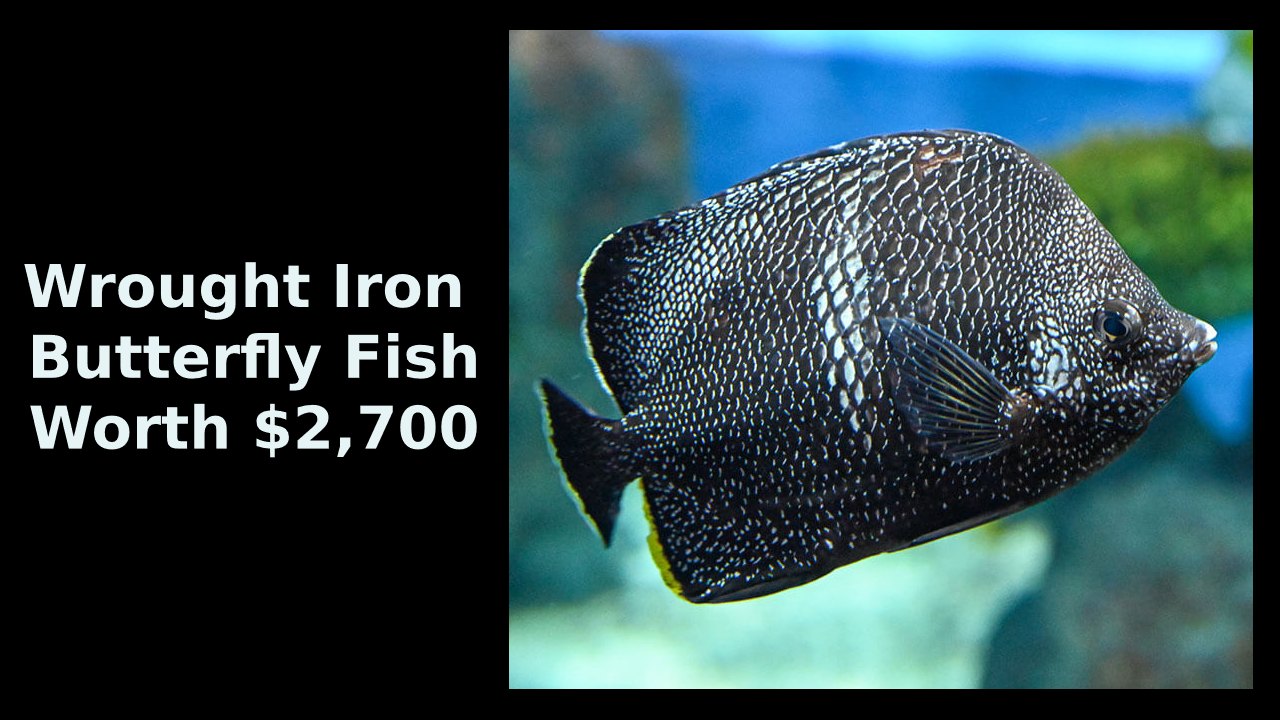 Wrought Iron Butterfly Fish