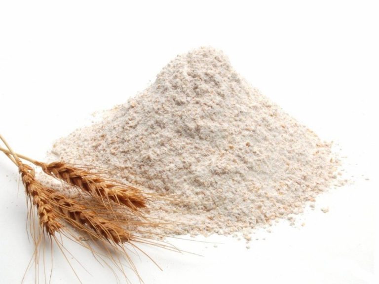 Wheat Protein market