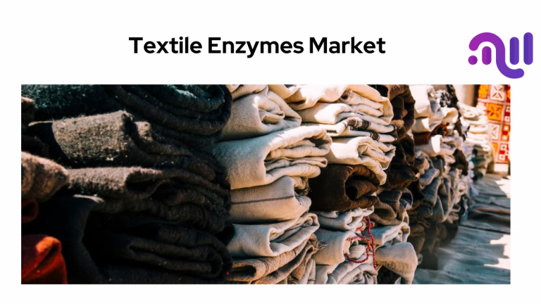 Textile Enzymes Market