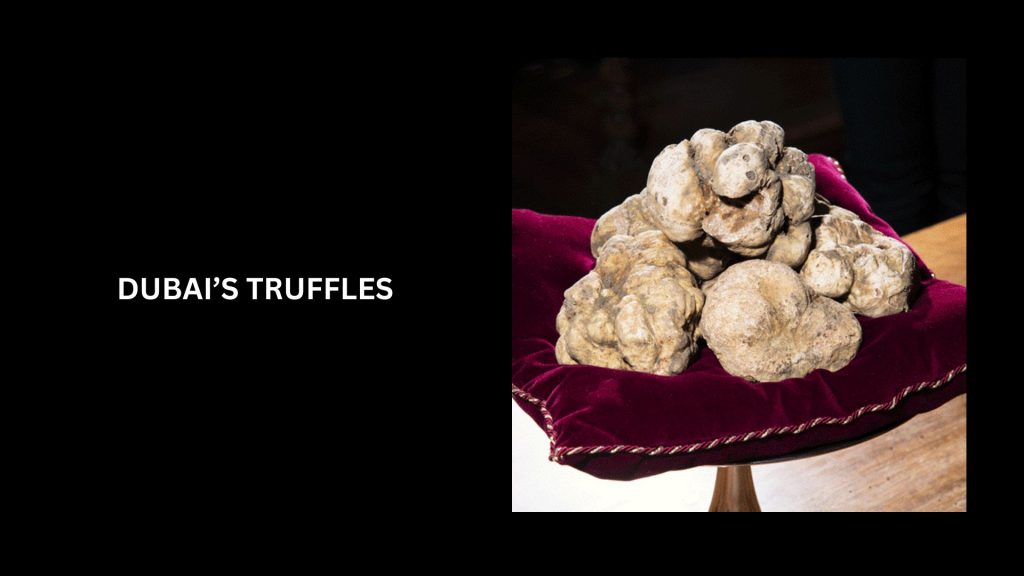 Dubai’s Truffles - (Worth $500,000) - Most Expensive Truffles In The World