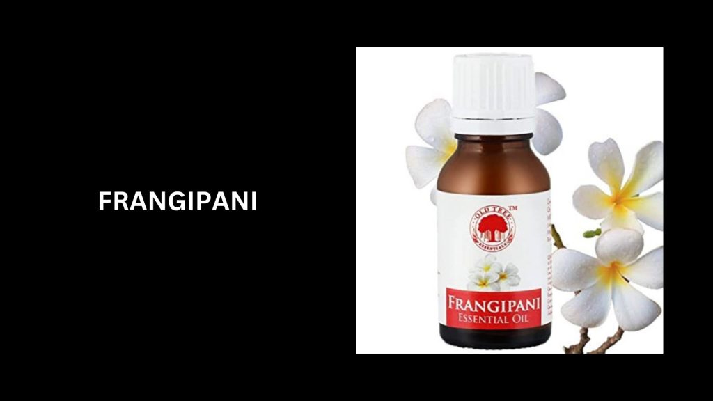 Frangipani - (Worth $1,500 per oz) - 3rd Most Expensive Essential Oils In The World