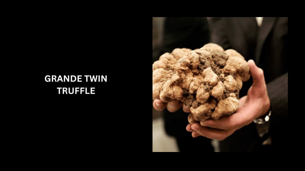 Grande Twin Truffle - (Worth $118,000)