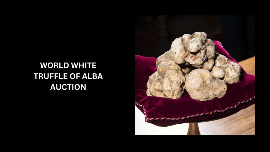 World White Truffle of Alba Auction - (Worth $114,000)
