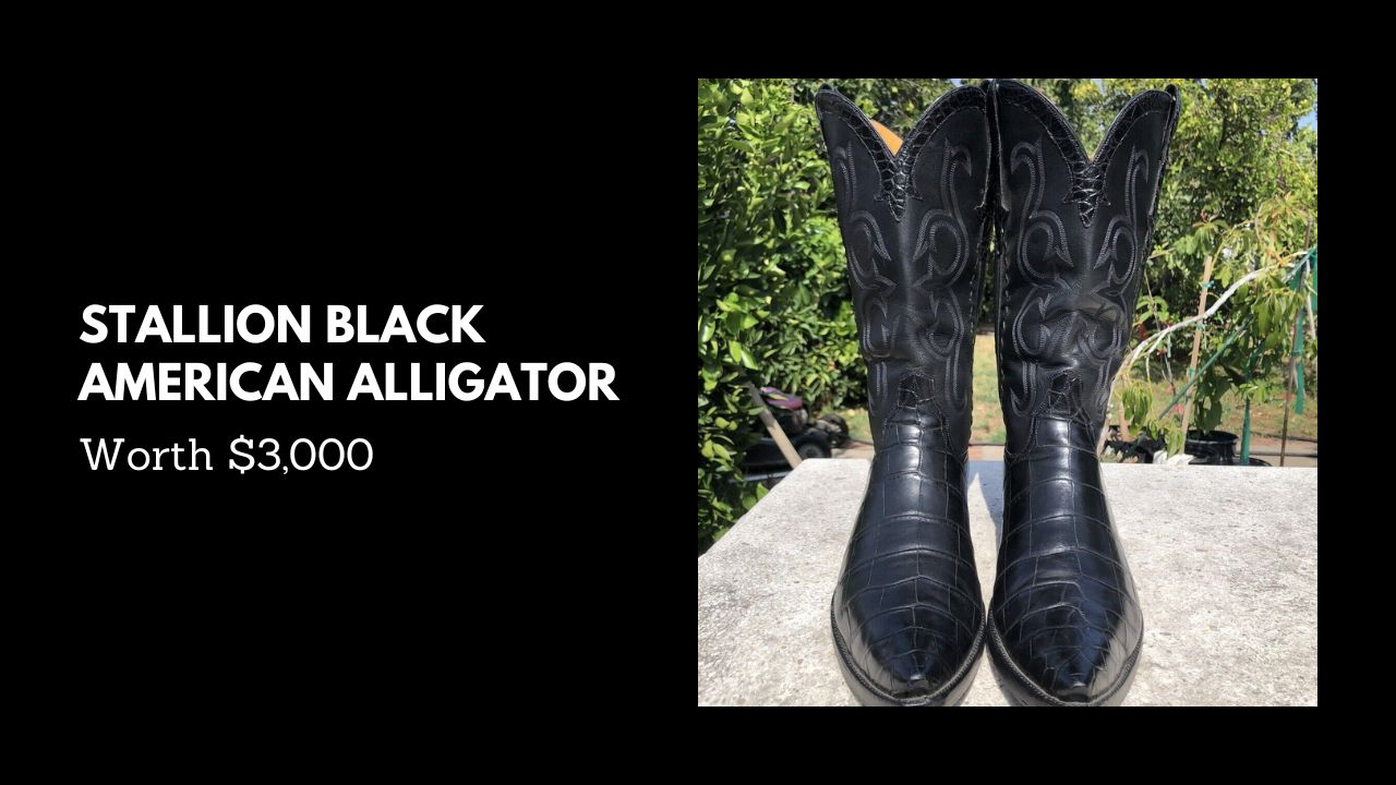 Stallion Black American Alligator - Worth $3000