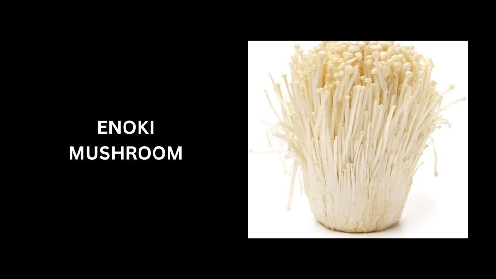 Enoki Mushrooms - (Worth Up To $108 Per Pound)