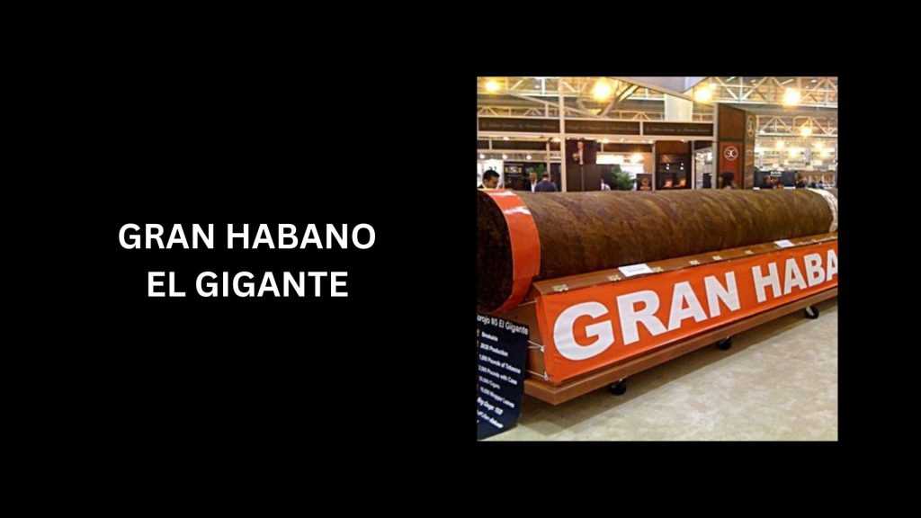 Gran Habano El Gigante - (Worth $185,000) - 3rd Most Expensive Cigars In The World