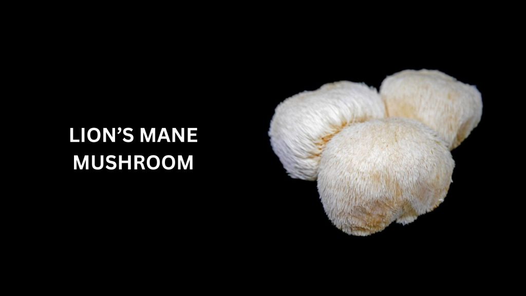 Lion’s Mane Mushrooms - (Worth Up To $36 Per Pound)