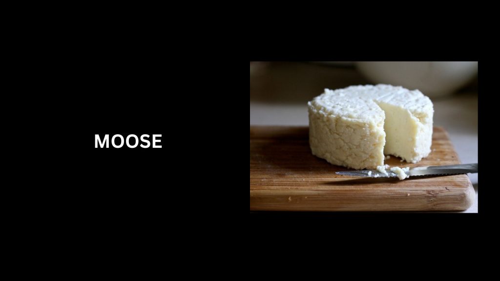 Moose - (Worth $455/pound) - second most expensive cheeses in the world