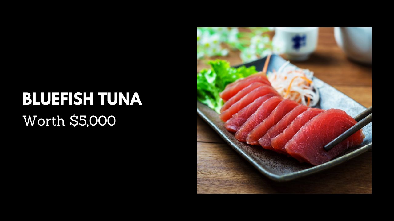 #6. Bluefish Tuna - Worth $5,000 (Most Expensive Foods in the World)