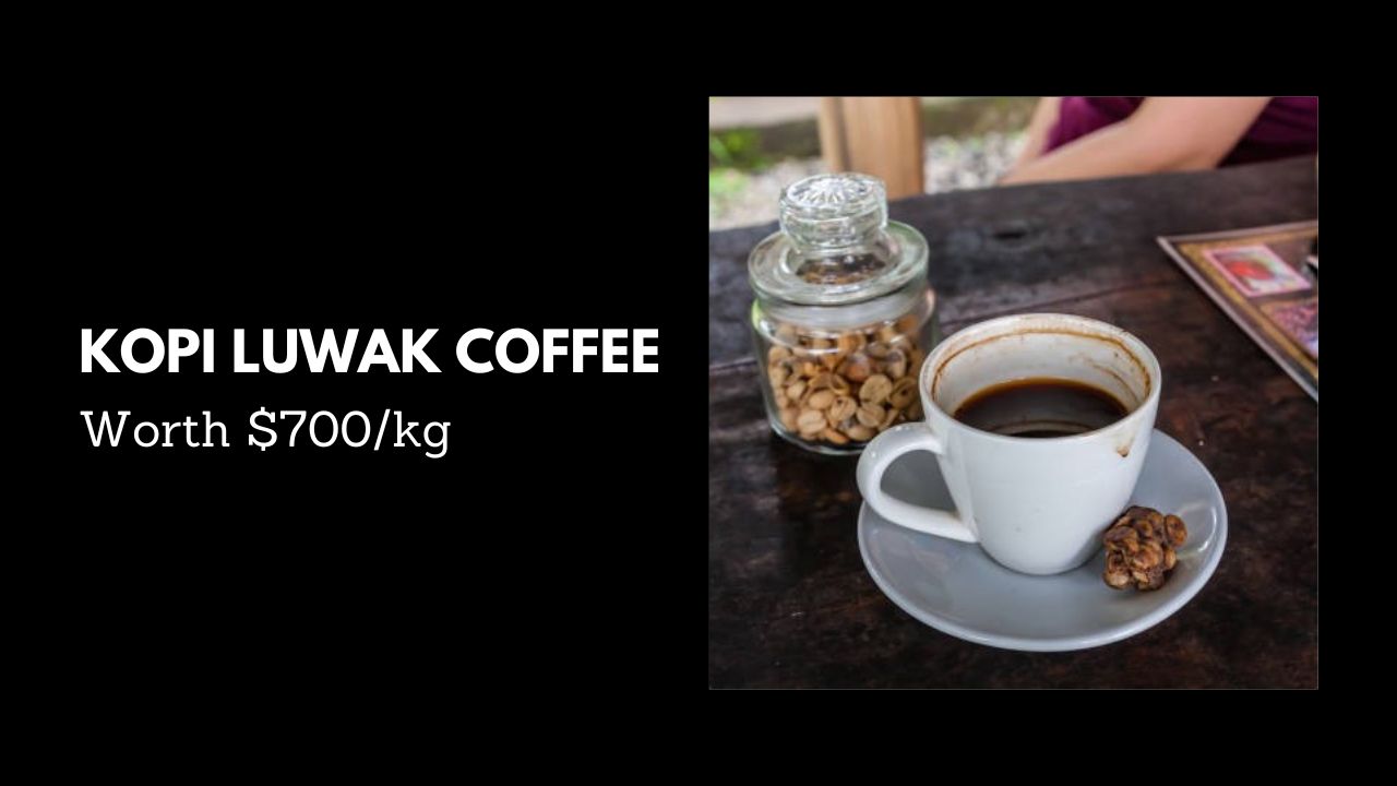 #8. Kopi Luwak Coffee - Worth $700/kg
