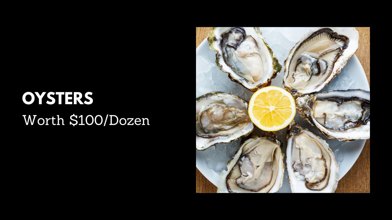 #9. Oysters - Worth $100/Dozen (Most Expensive Foods)