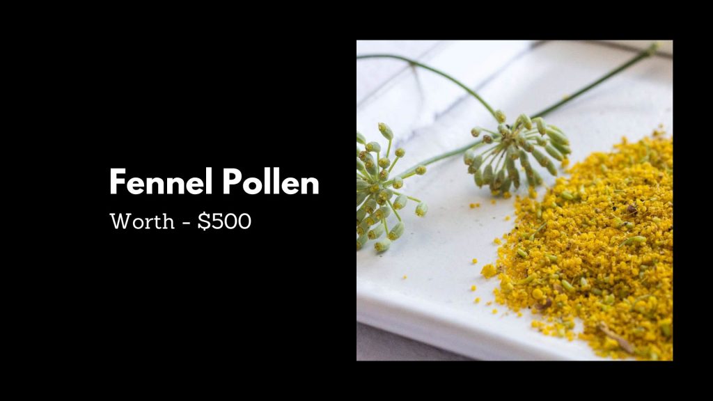 Fennel Pollen - 2nd in Most Expensive Spices