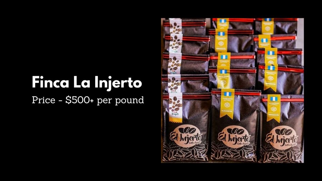 Finca La Injerto - 2nd Most Expensive Coffee
