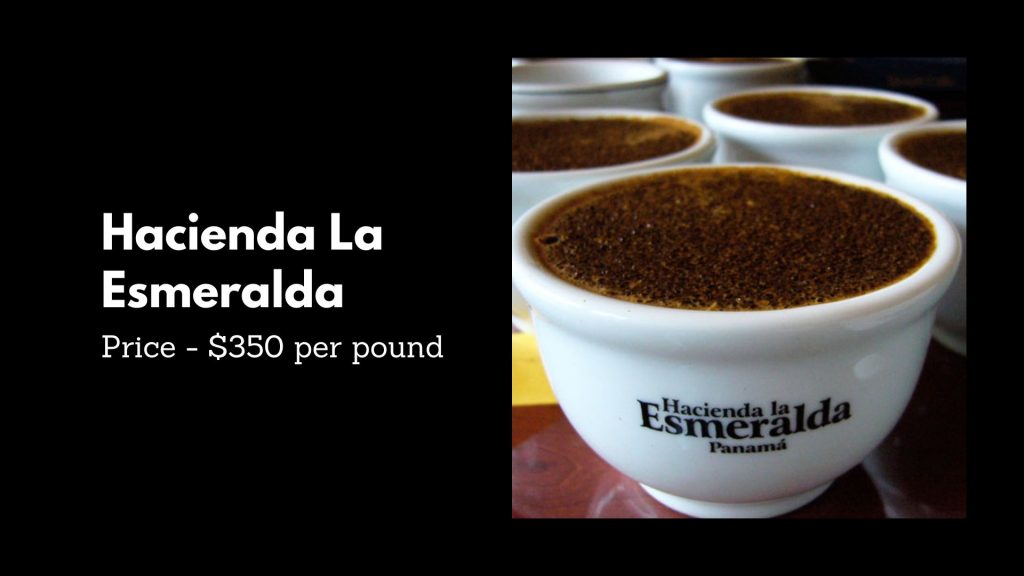 Hacienda La Esmeralda - 3rd Most Expensive Coffee