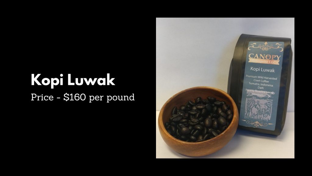 Kopi Luwak - 4th Most Expensive Coffee