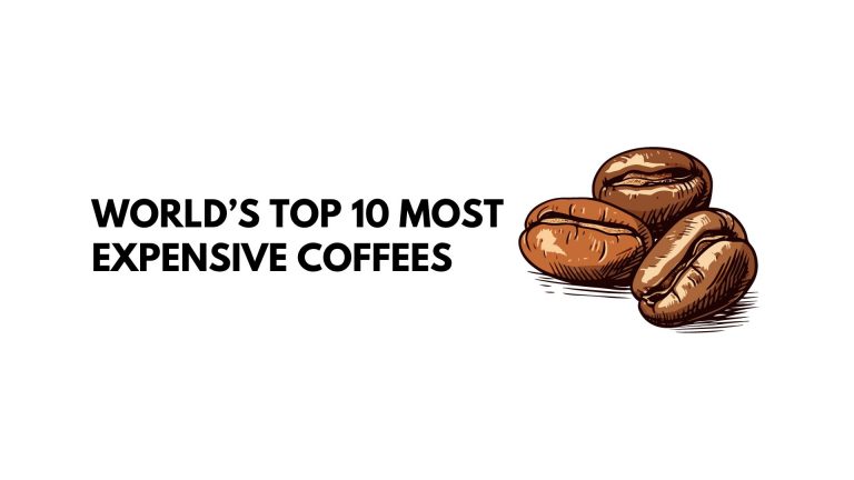 Top 10 Most Expensive Coffee in the World